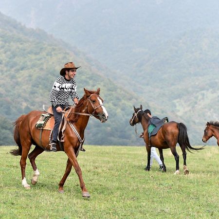 Gayane Hotel Alaverdi Εξωτερικό φωτογραφία